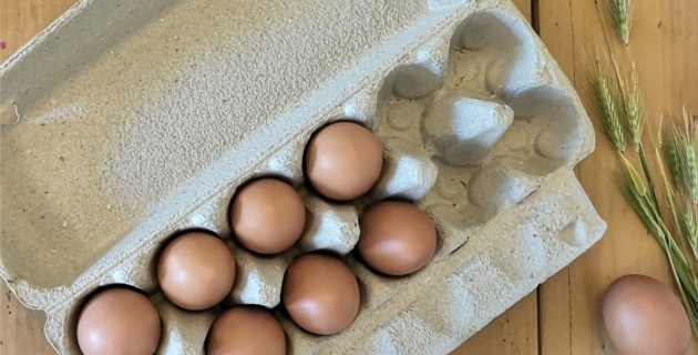 Putting Aussie eggs in an upcycled basket - PKN Packaging News