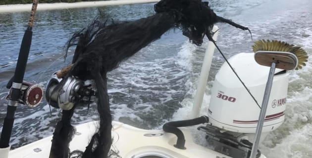 What happens when a fishing rod is struck by lightning - Fishing World