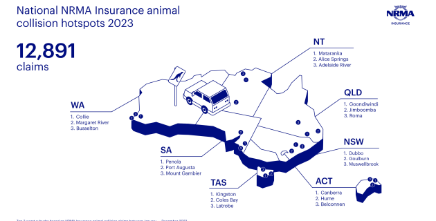 34% increase in animal collision claims - Australasian Paint & Panel