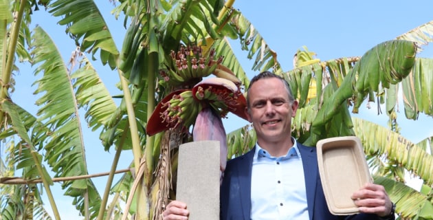 From plantation waste to packaging pulp