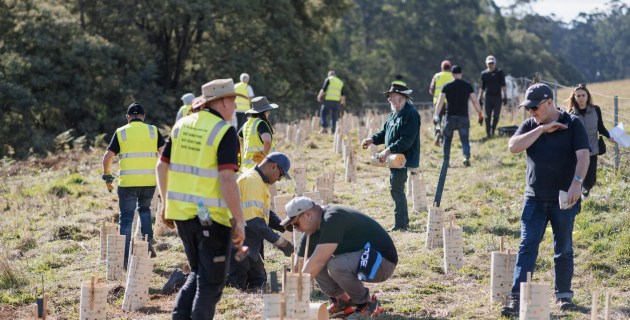 CCEP partners with Landcare Australia on sustainability mission