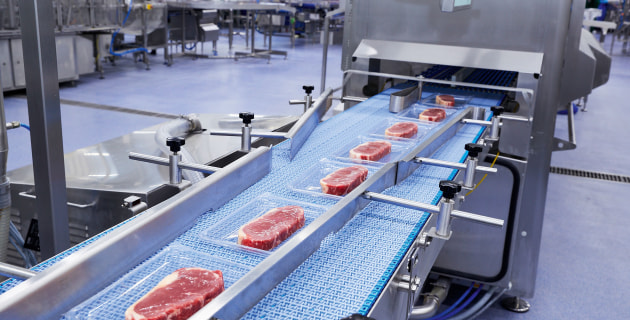 Financing the future of fresh protein