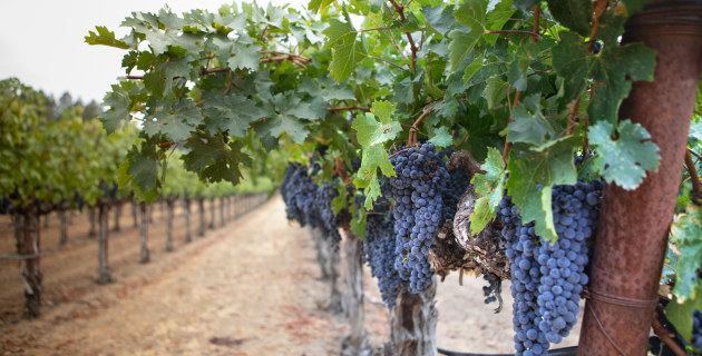 TWE settles California dispute, flags $236m 1H26 EBITS