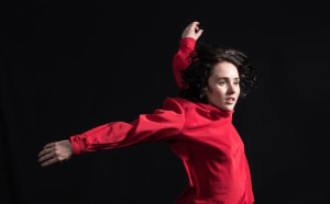 alt text for this image