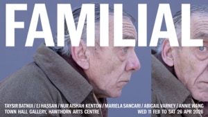 alt text for this image