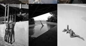 alt text for this image