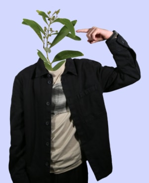 alt text for this image