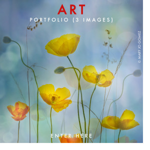 ART 2026