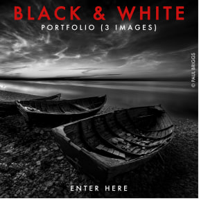 BLACK & WHITE 2026