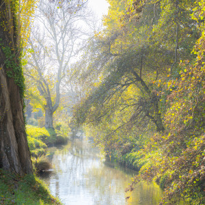 August theme: Seasons