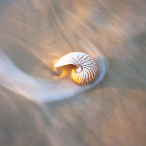 SOFT LIGHT - Entries close 31 May 2026