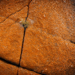 MINIMALISM - Entries close 31 July 2026