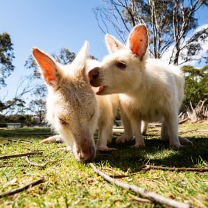 Dec theme: Your favourite shot of '25