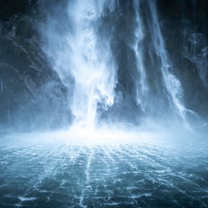 February theme: Wild