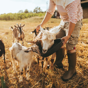 May theme: Rural life