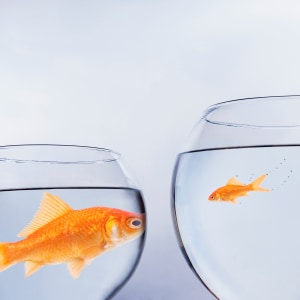 BIG AND SMALL - Entries close 31 March 2026