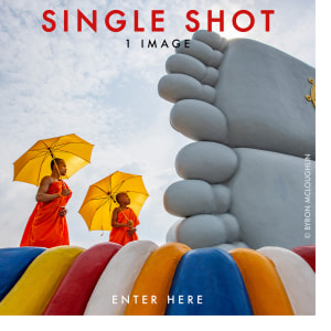 SINGLE SHOT 2026