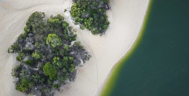 AERIAL 2024 - The Landscape Awards