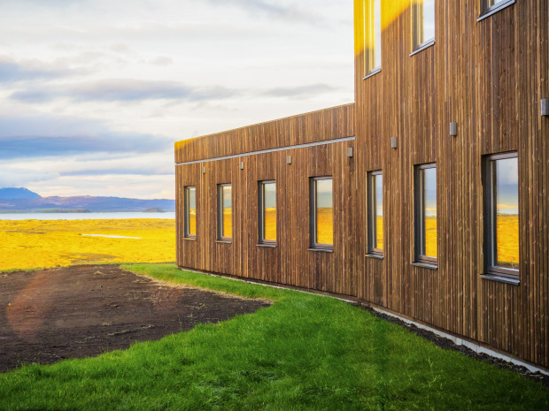 afternoon light on windows