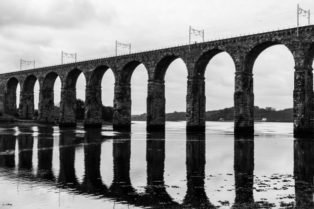Curves and Lines of a Bridge