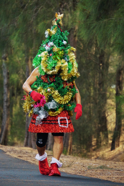 THE RUNNING CHRISTMAS TREE - Australian Photography