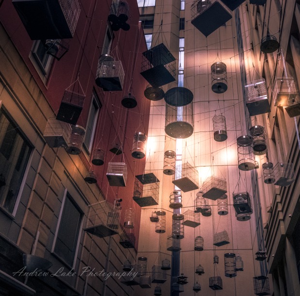 Birdcage Alley Australian Photography
