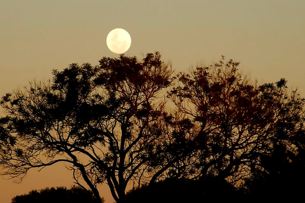 Moon Rising Photography Examples Moon Rising - The Landscape Awards