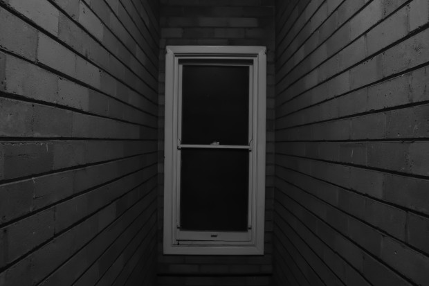 Hidden Window - The Mono Awards