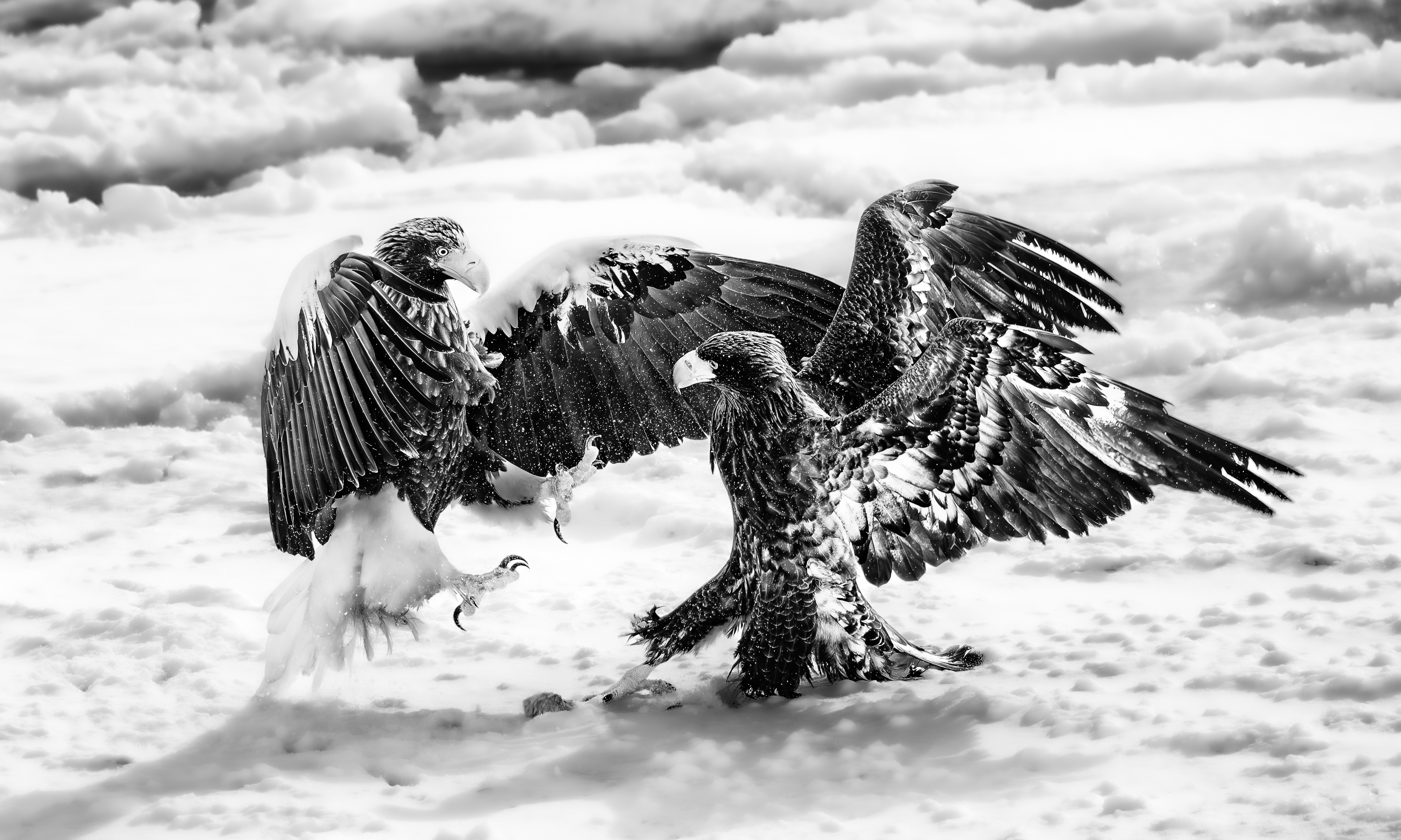 Icy Dispute by Alun Powell