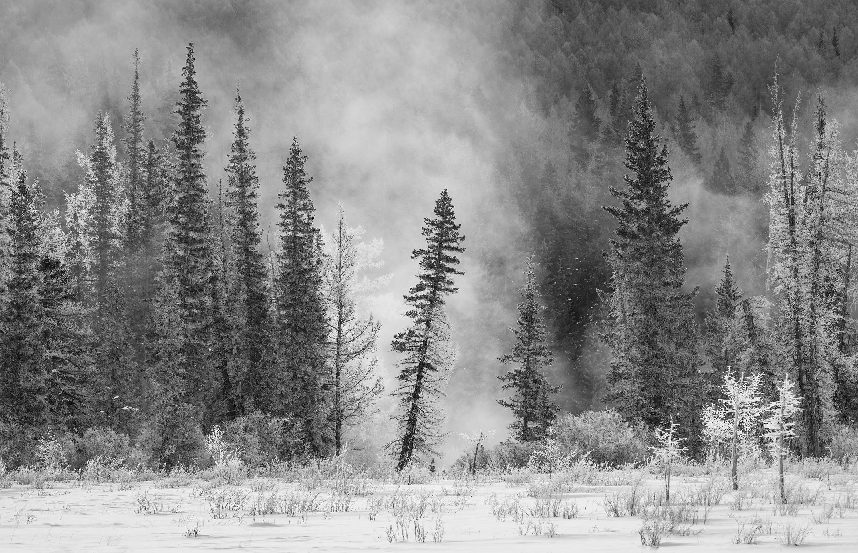 Thermal frosting by Diny Jones