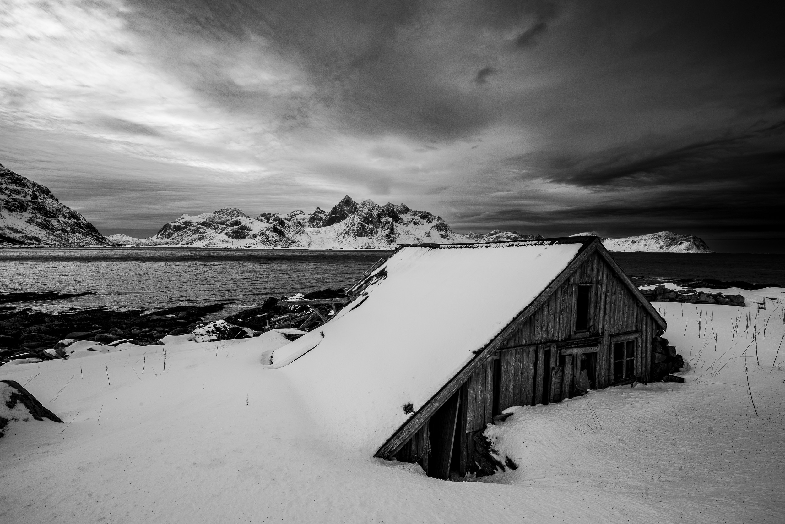 In the cold by Vicki Cleghorn