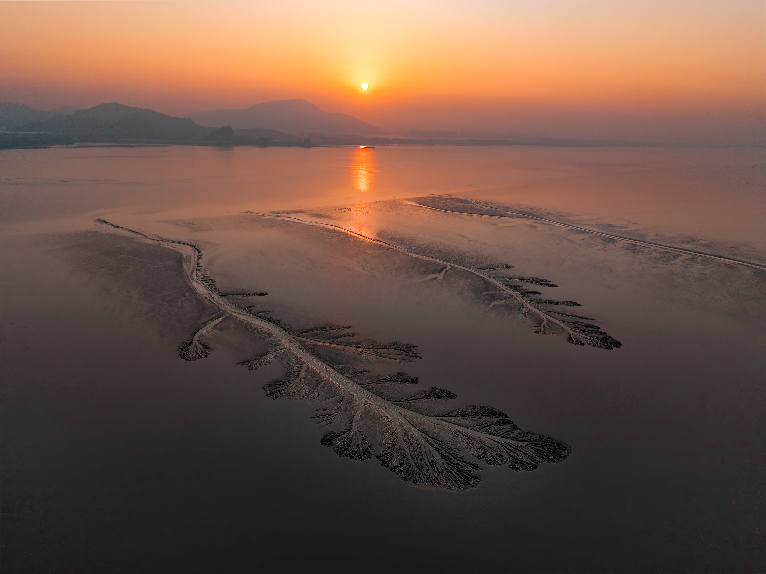 Lingling Guan