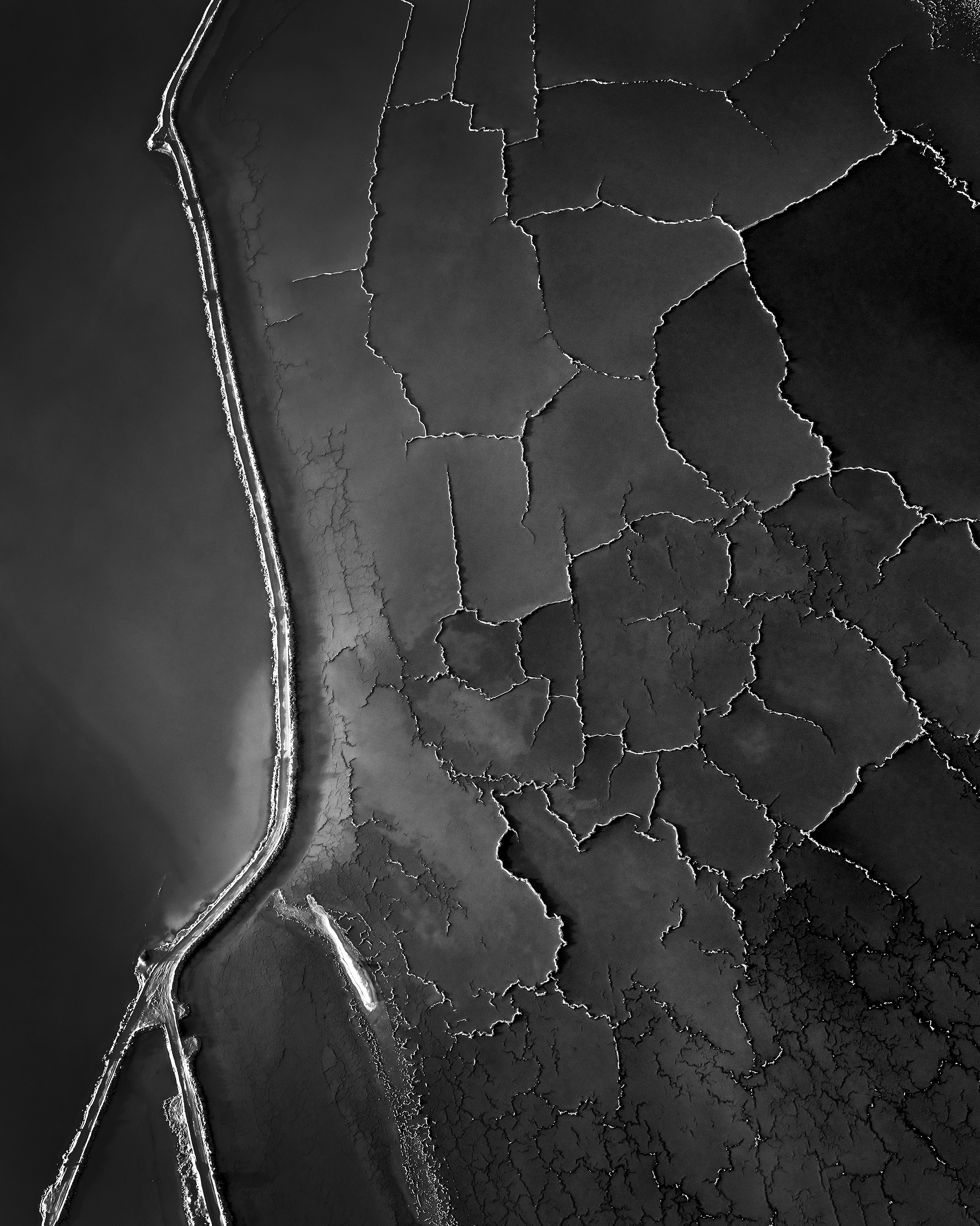 Salt Lines by Rebecca Hassett