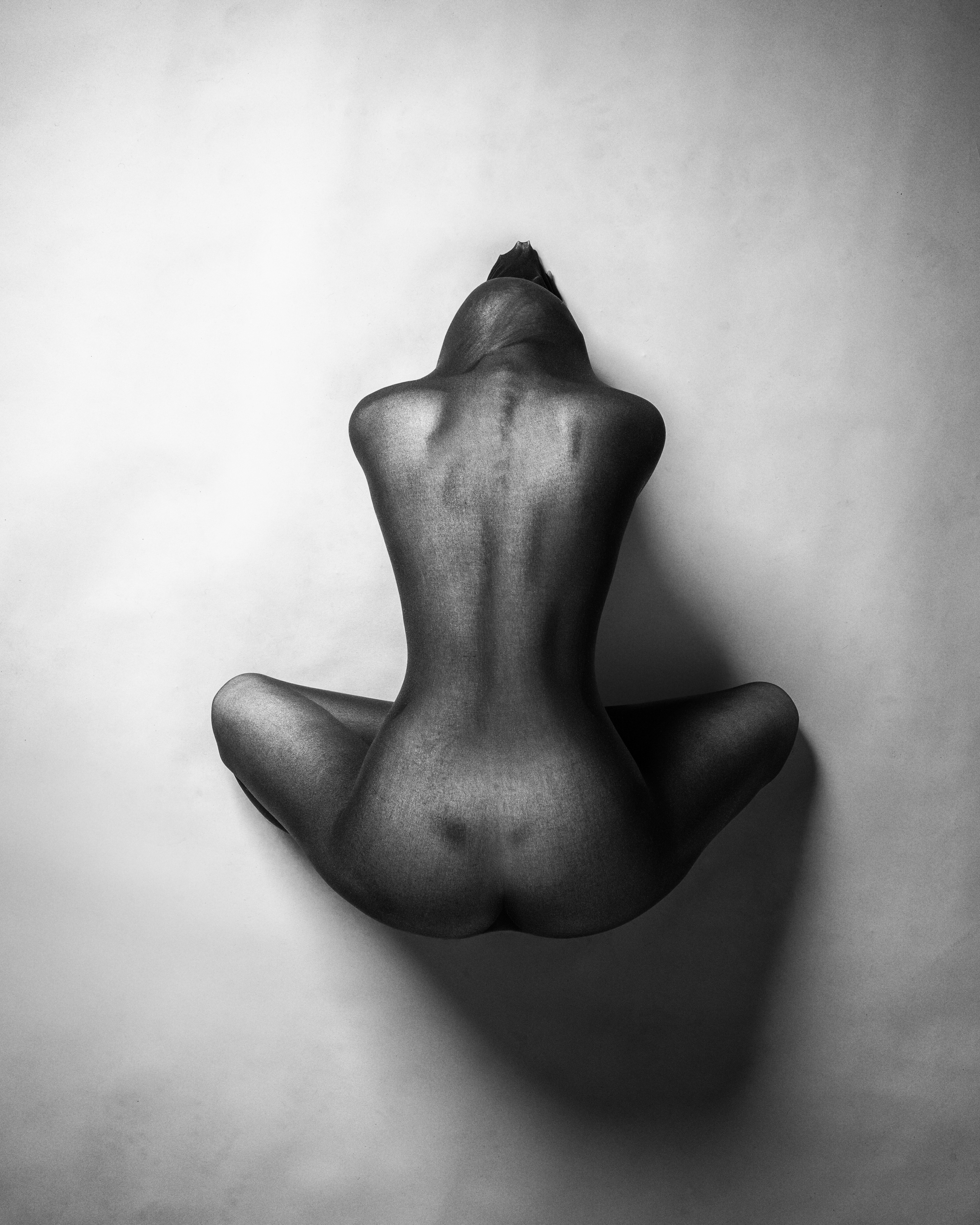 Sky seated from above by Nick Pasitchnyj