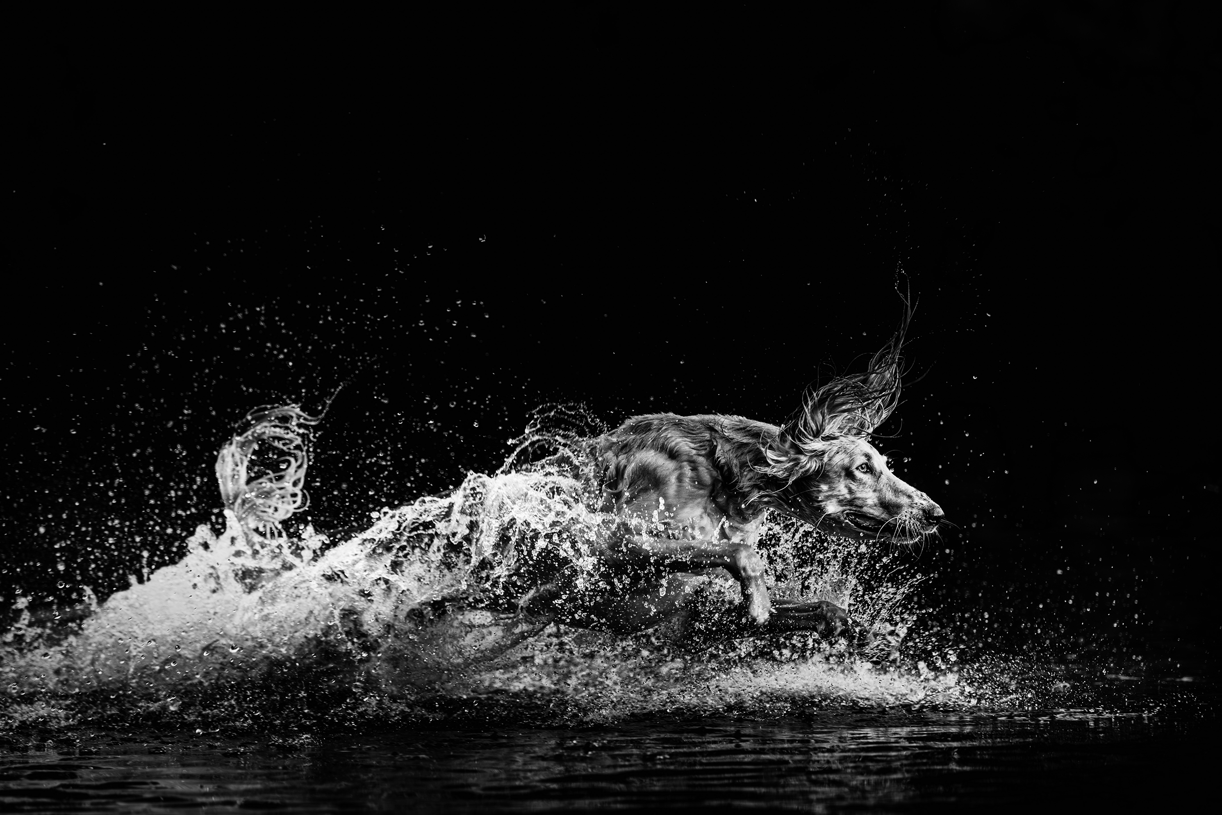 Aquatic Velocity v3 by Jodie Grieve