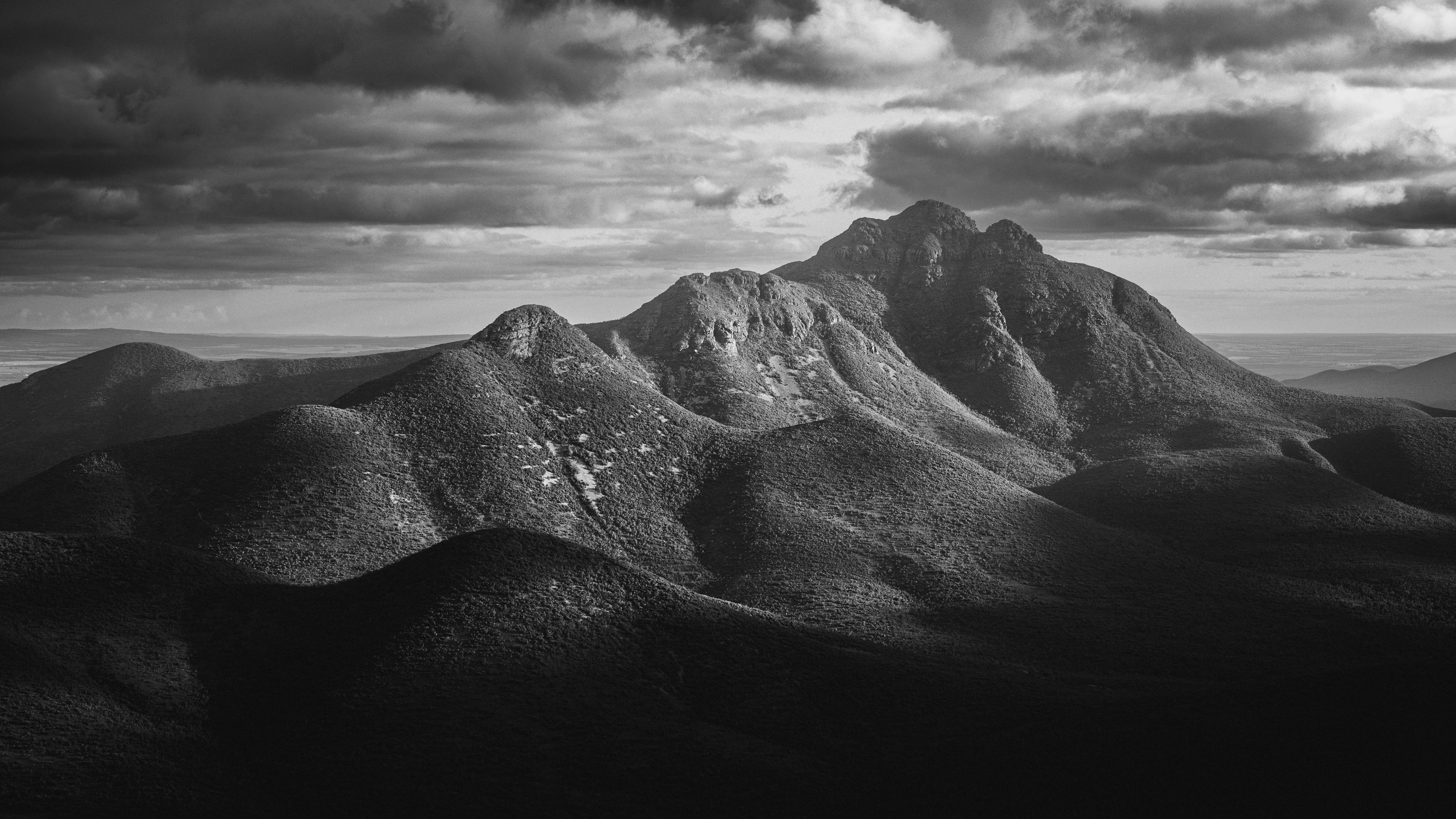 The Stirlings by Jodie Stallard