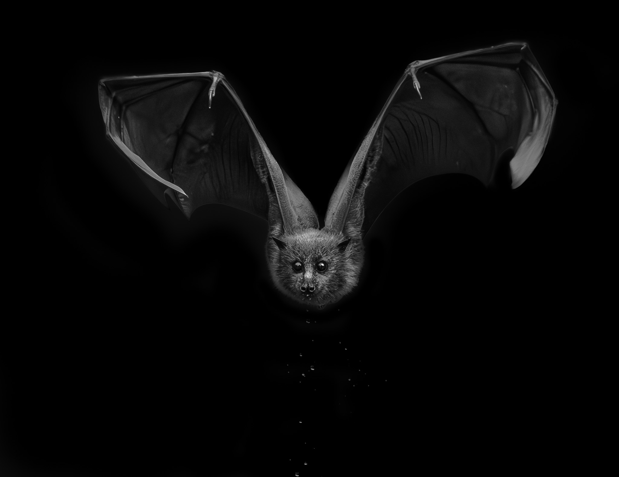 Incoming by Mark Booth