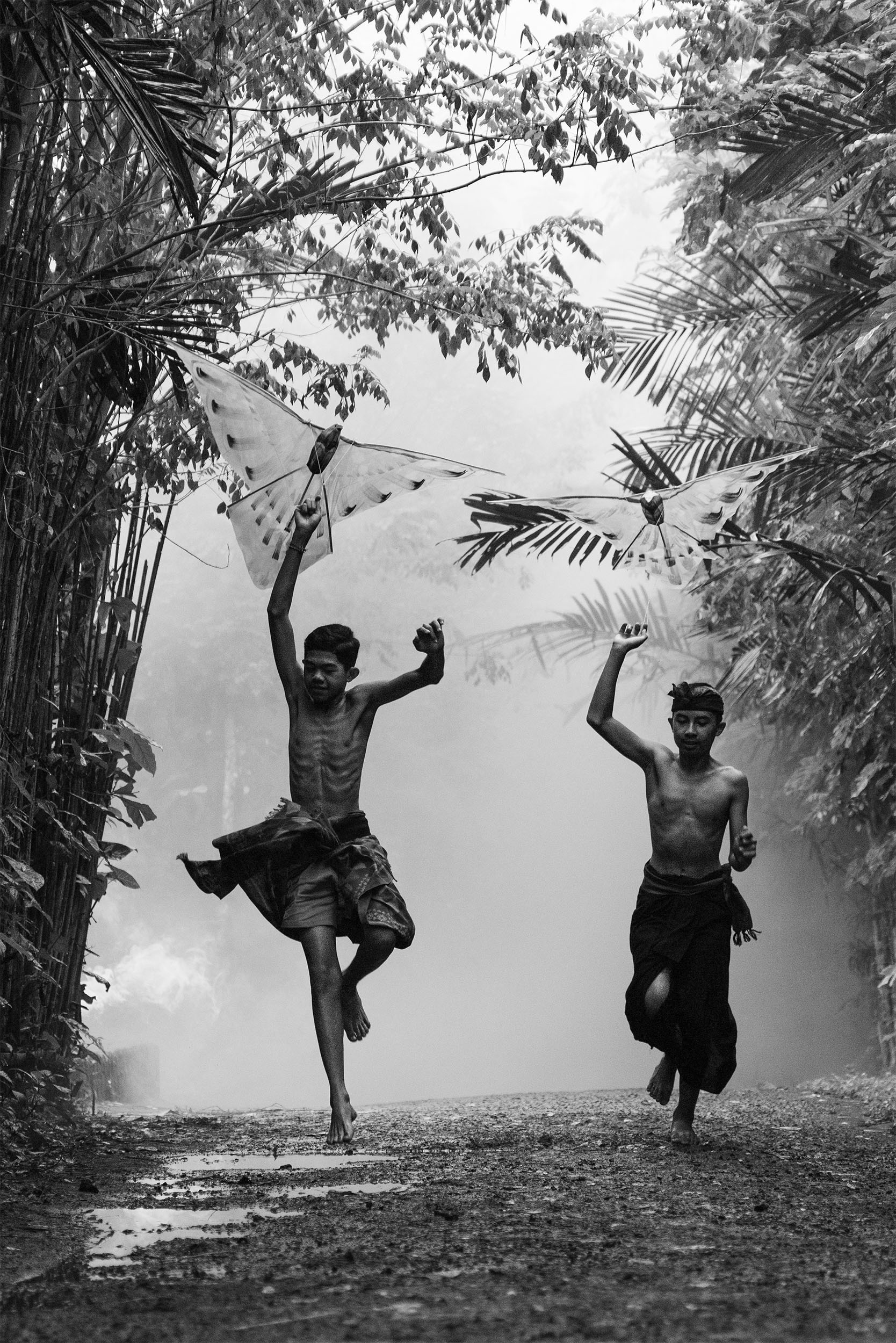 Kite Boys by Tania Ross