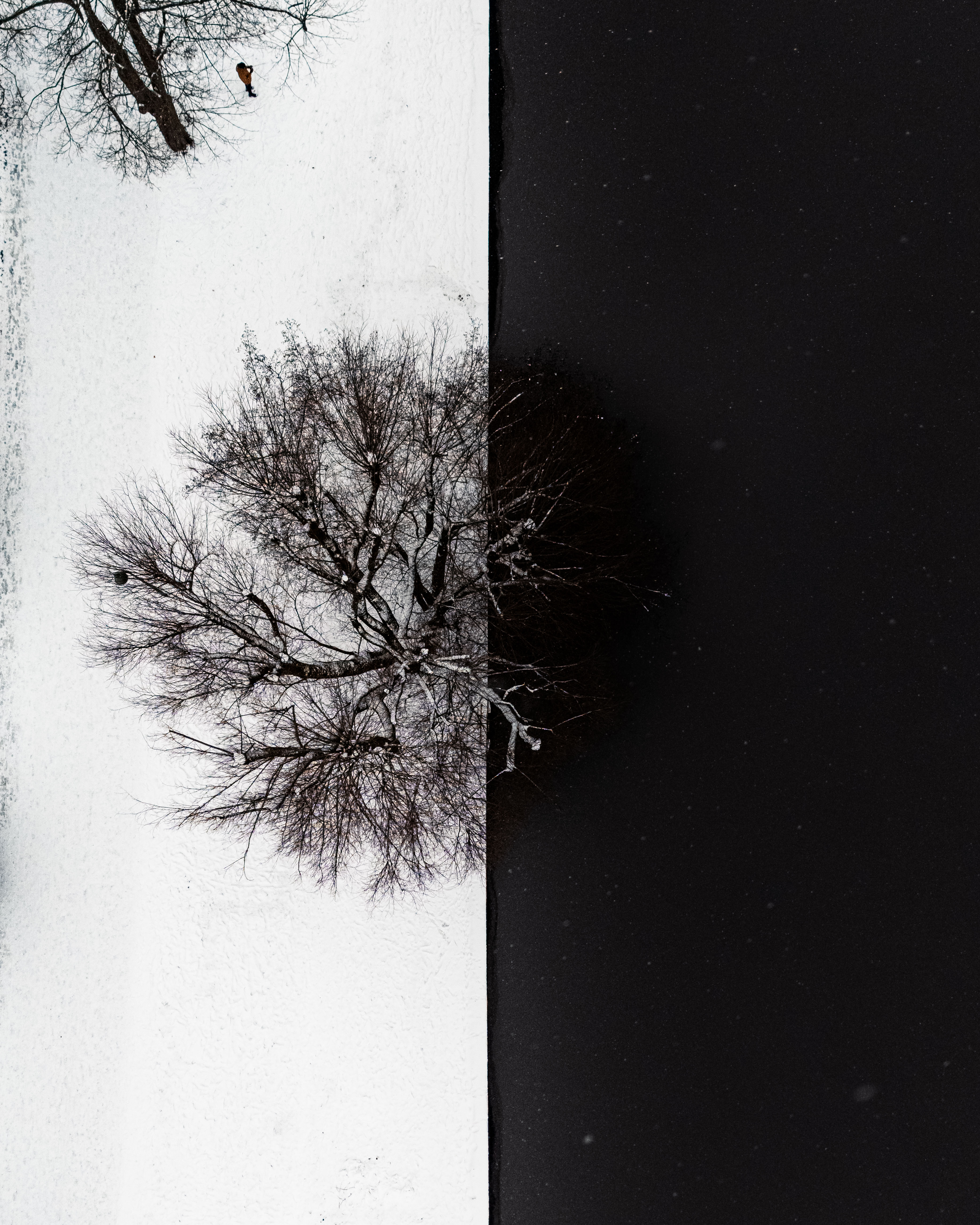 Adrian Smarrelli