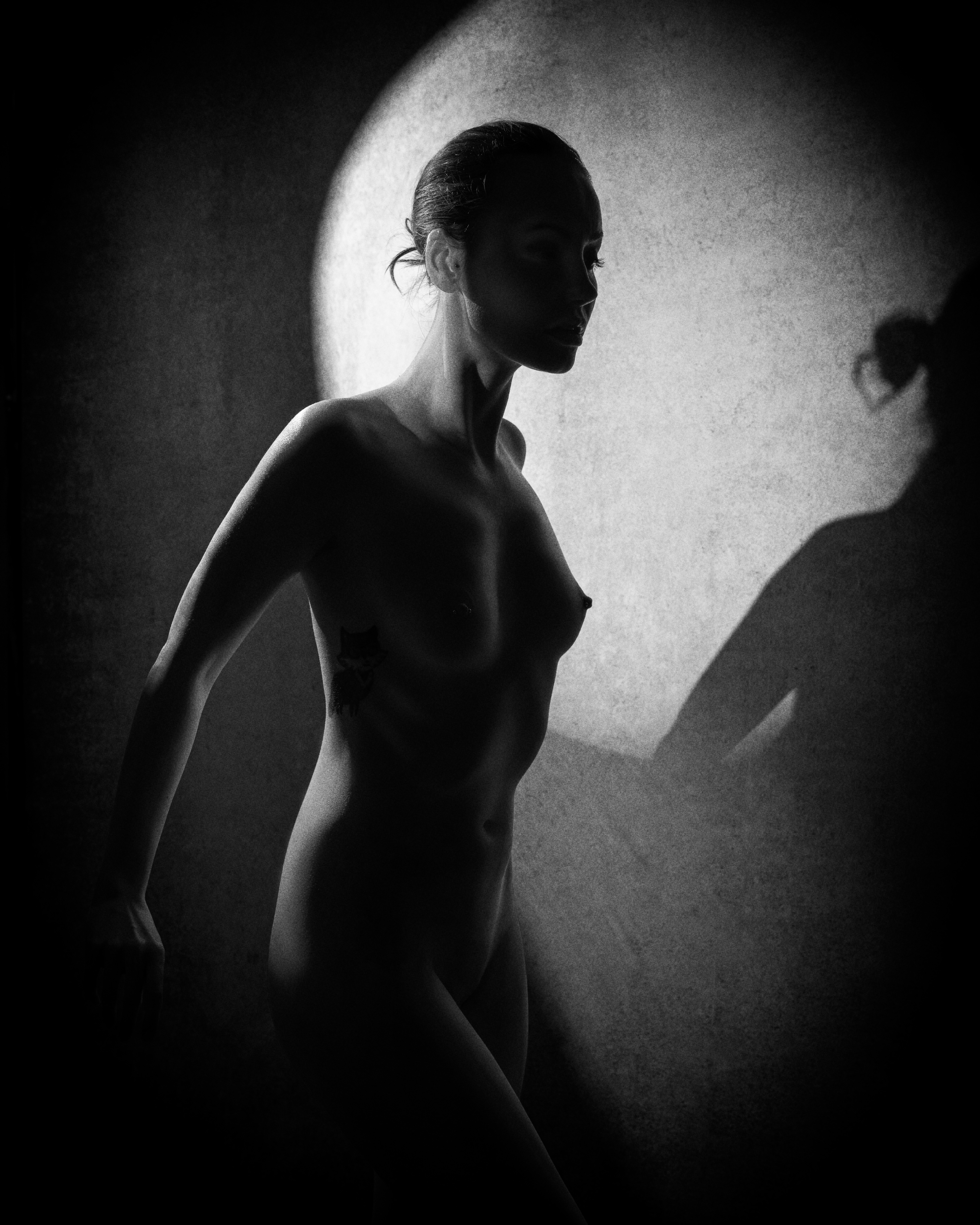Elilith shadow of silhouette by Nick Pasitchnyj