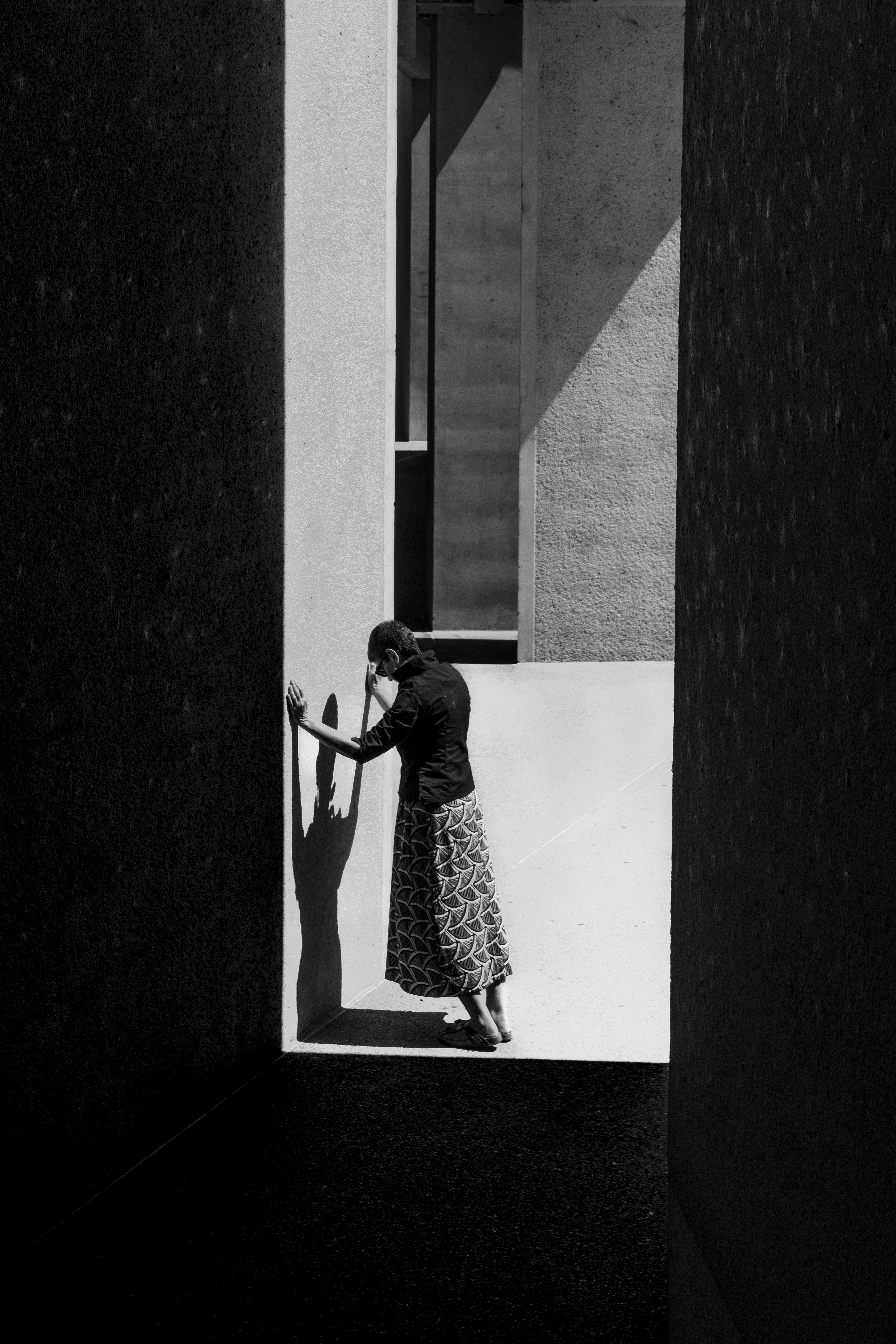 Shadow Play by Fiona Bowring