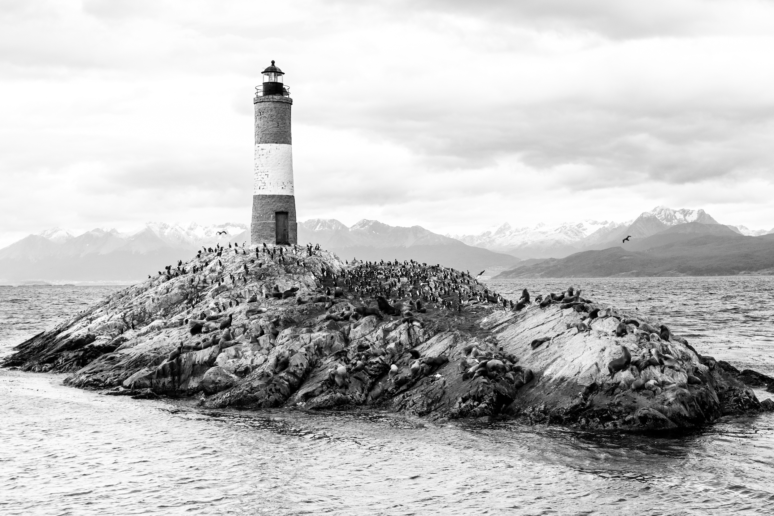 Les Eclaireus Lighthouse by Ginnie Allwood