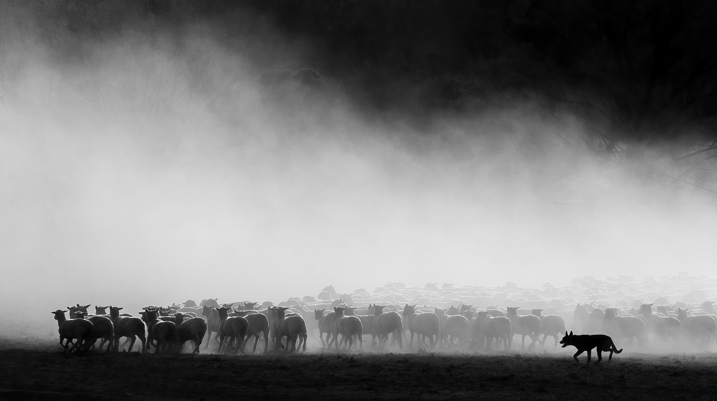 A Sense of Control by Craig Williams
